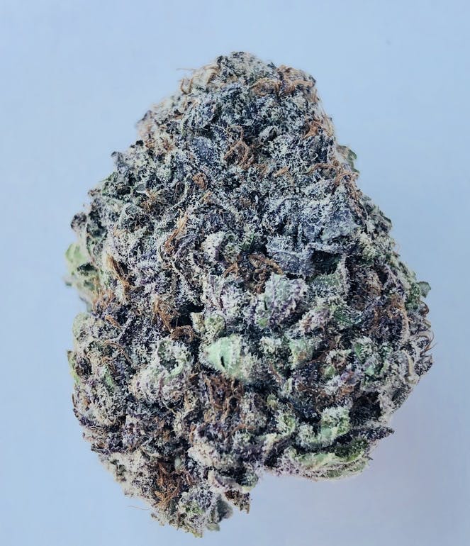 blue sherbet cannabis bud
