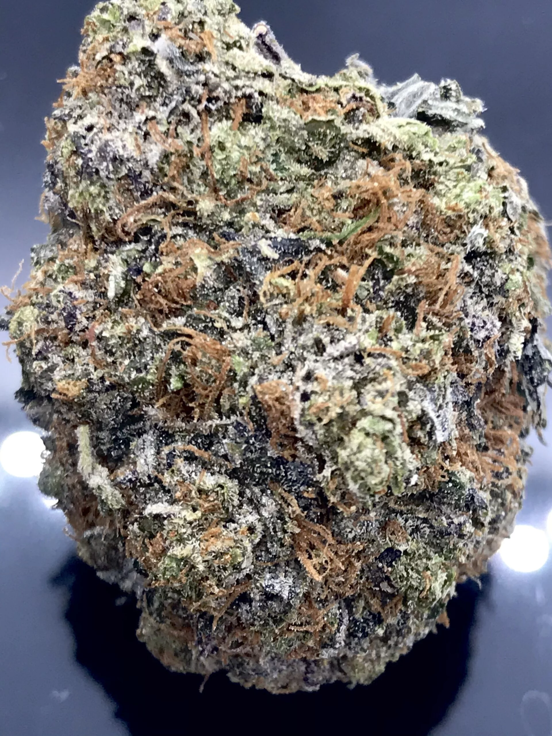 brownie scout cannabis bud