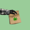 weed delivery guelph weed bag on green background