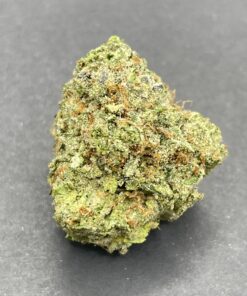 Jack Herer