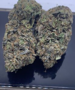 CRYPTIC BLUEBERRY