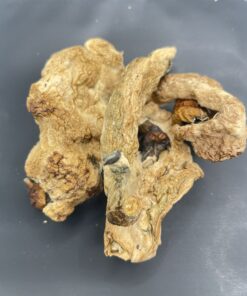 Makilla Gorilla Mushrooms