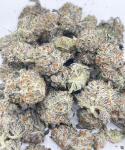 Blue Guava Gelato