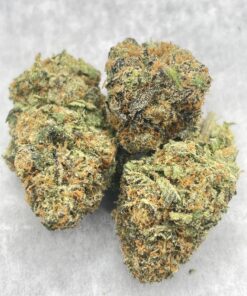 Garlic Chip