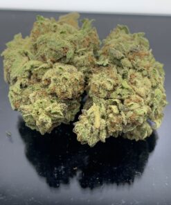 EARLY GLUE