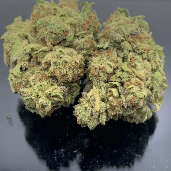 EARLY GLUE