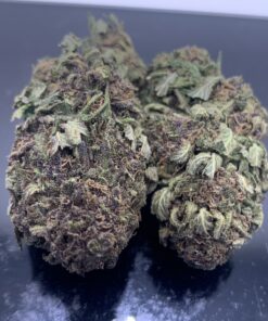 PURPLE BUD