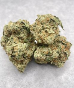 Rocket Bomb