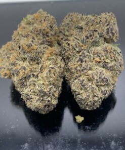 JACK DIESEL