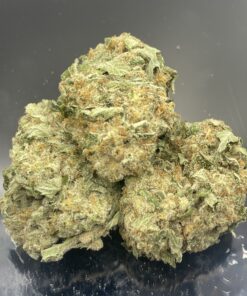Durban 95