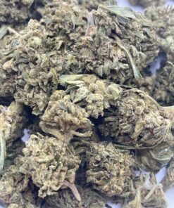 Lemon Skunk
