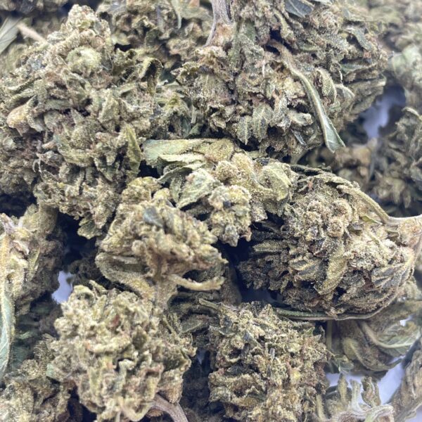 Lemon Skunk