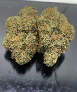 ANIMAL GAS