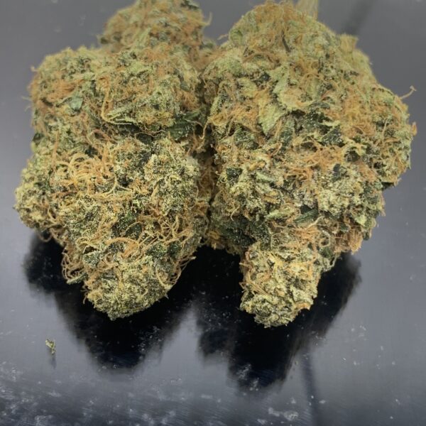 ANIMAL GAS