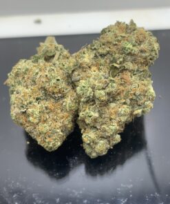 JACK SKUNK
