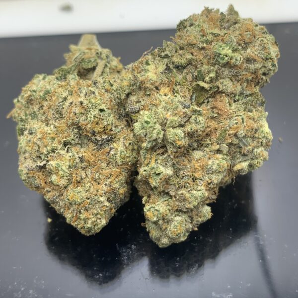 JACK SKUNK