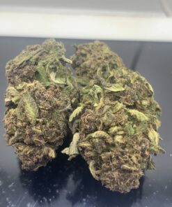 PURPLE GOD