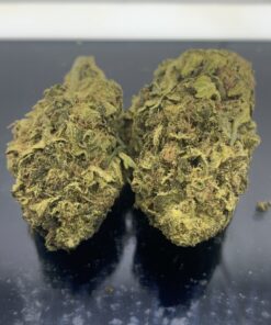 NYC DIESEL