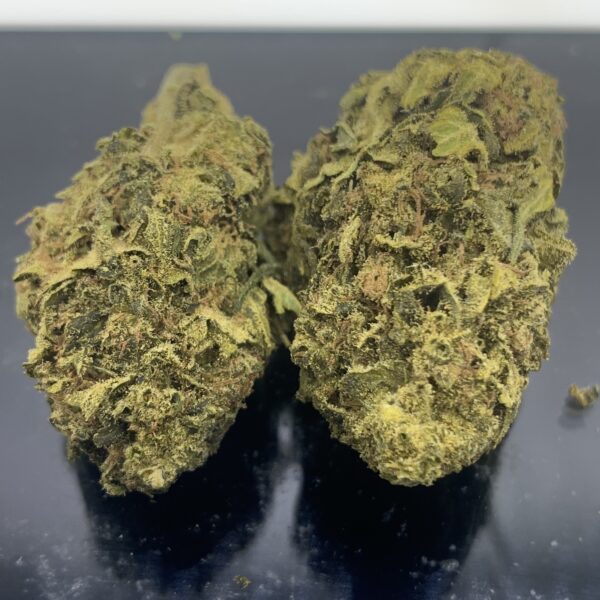 NYC DIESEL